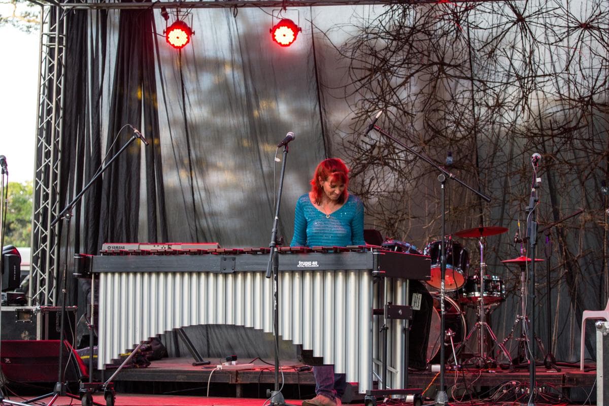 A photo from the 2015 festival