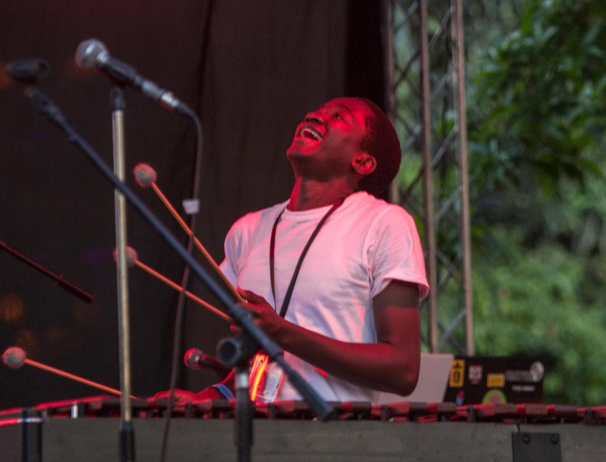 A photo from the 2015 festival