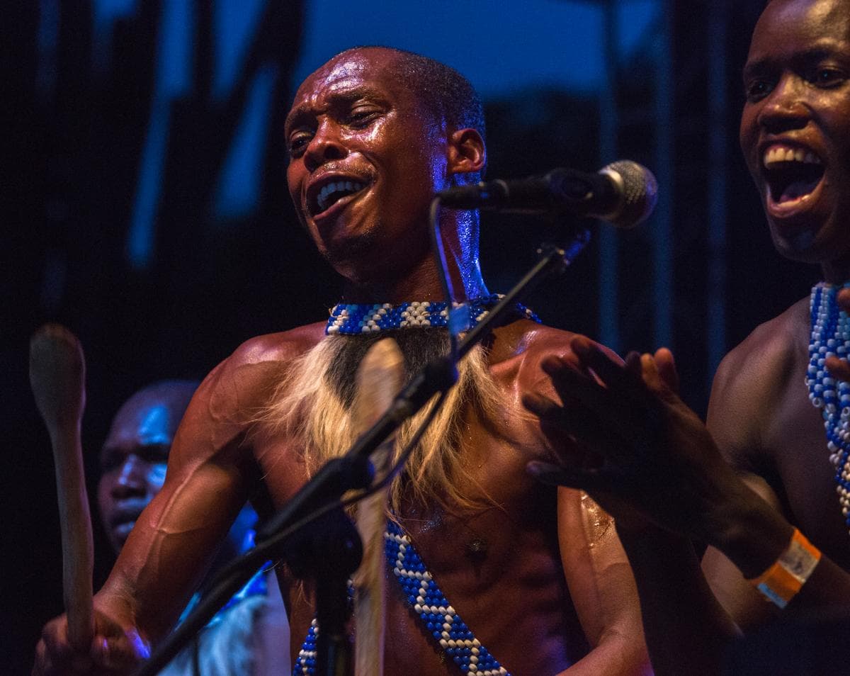 A photo from the 2015 festival