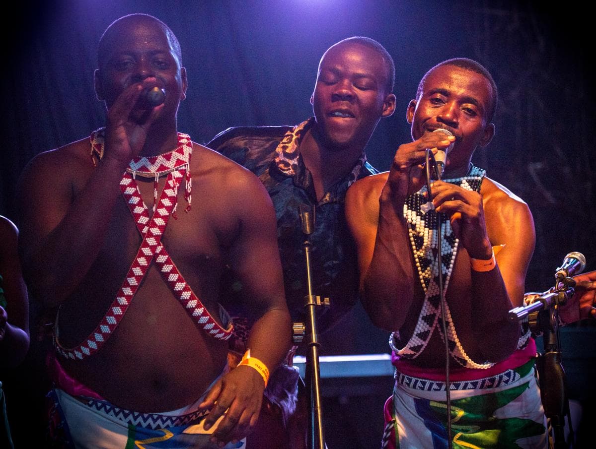 A photo from the 2015 festival