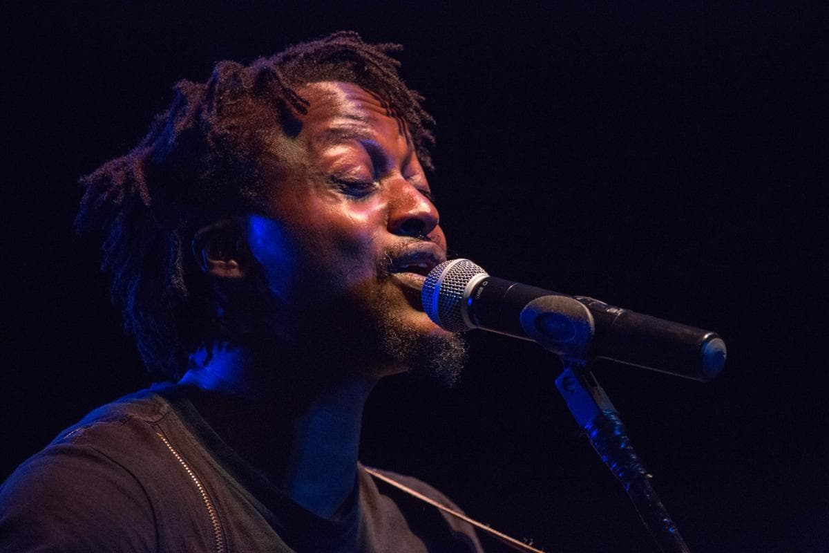 A photo from the 2015 festival