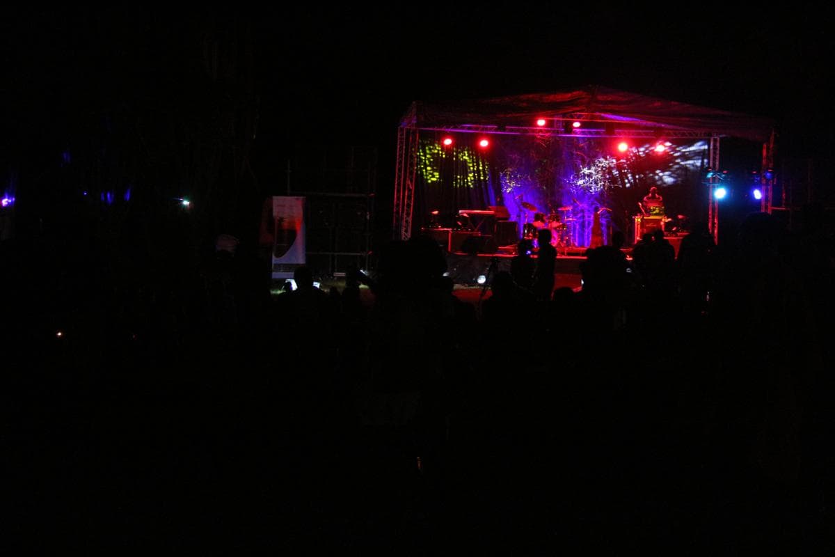 A photo from the 2015 festival