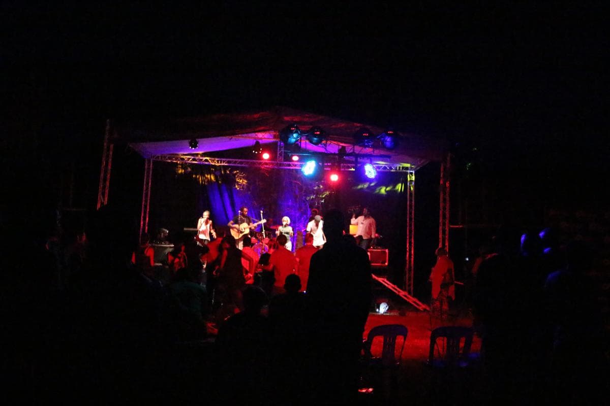A photo from the 2015 festival