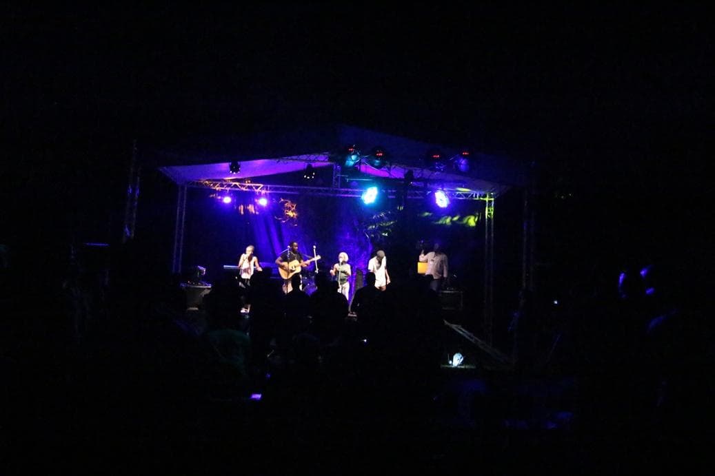 A photo from the 2015 festival